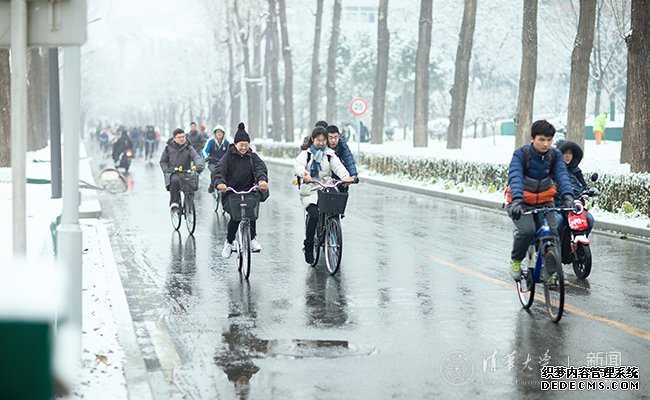 【组图】邂逅一场清华园的漫漫大雪