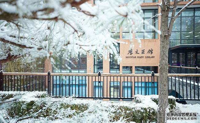 【组图】邂逅一场清华园的漫漫大雪