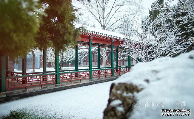 【组图】邂逅一场清华园的漫漫大雪