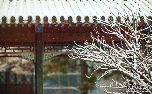 【组图】邂逅一场清华园的漫漫大雪