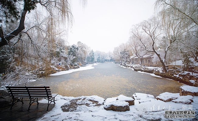 【组图】邂逅一场清华园的漫漫大雪