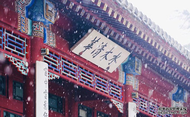 【组图】邂逅一场清华园的漫漫大雪