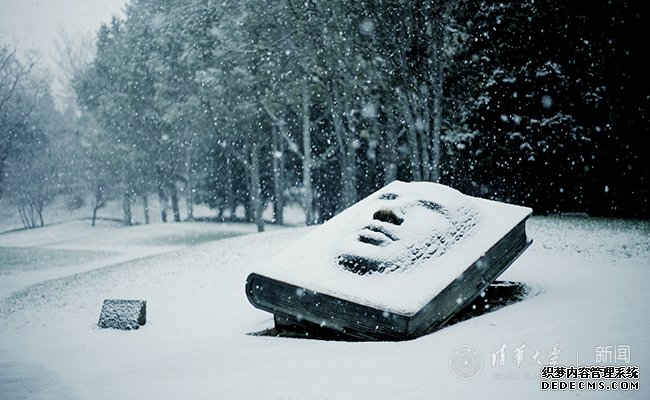 【组图】邂逅一场清华园的漫漫大雪