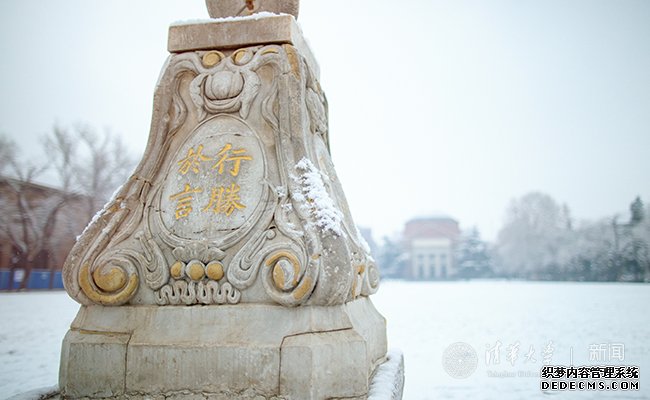 【组图】邂逅一场清华园的漫漫大雪