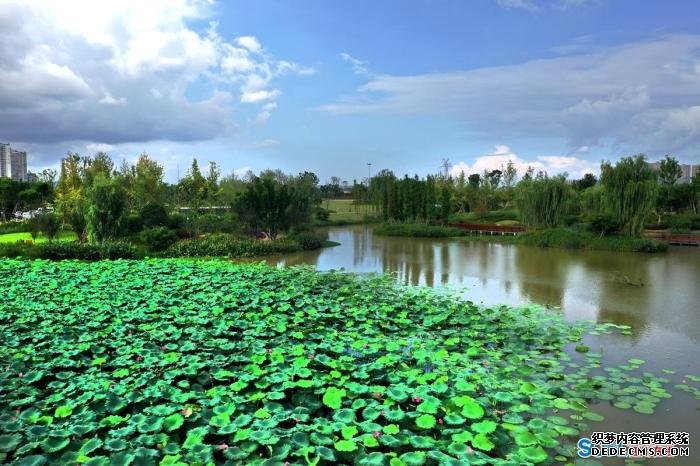 【生态文明@湿地】“海绵城市”遂宁:城市湿地串