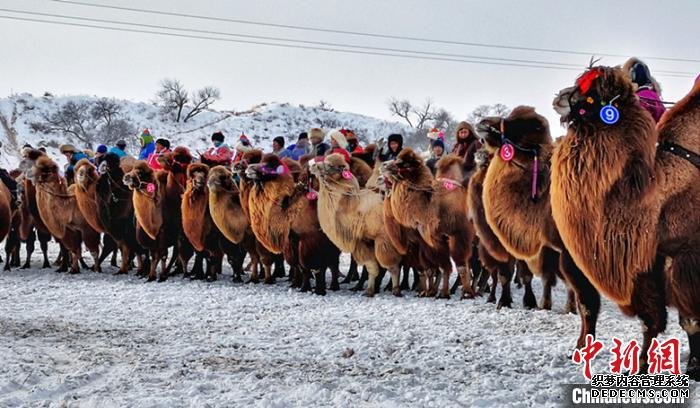 图为内蒙古开展的冰雪体育活动。　刘长永 摄